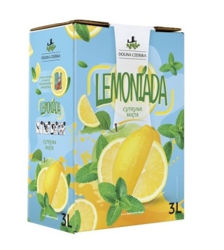 DOLINA CZERSKA NFC Lemoniada CYTRYNA-MIĘTA 3l karton